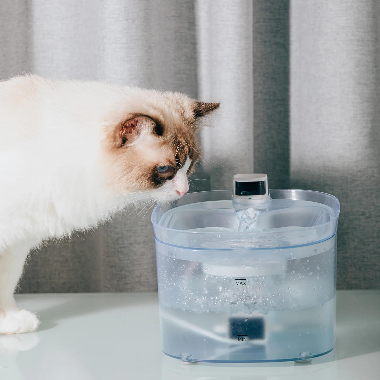 Bebedero Automatico Para Gatos Gatitos 1.6 Electric Pet Drinking Drinker Cat Water Fountain Dispenser Sensor Bottle