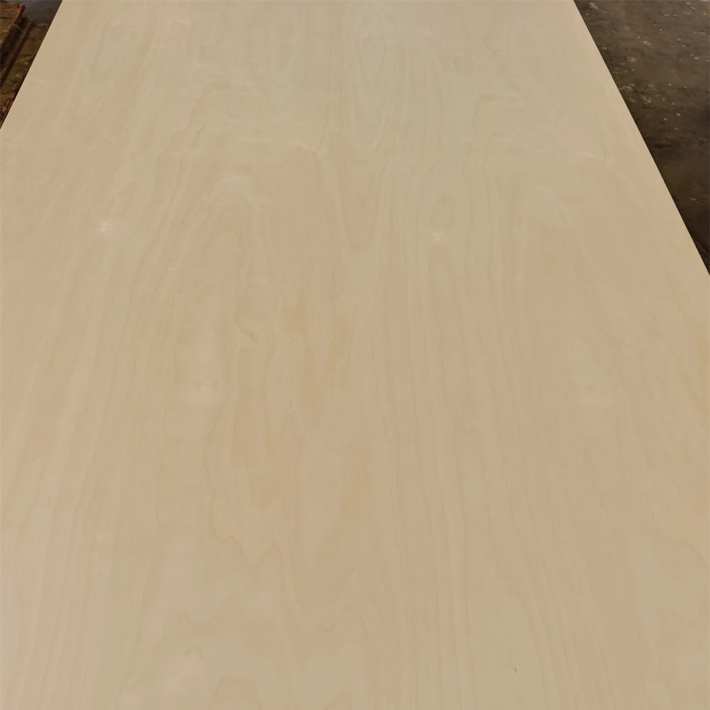 Okoume/Bintangor/Pine/Birch/Pencil Cedar Faced Furniture Plywood with Cheapprice