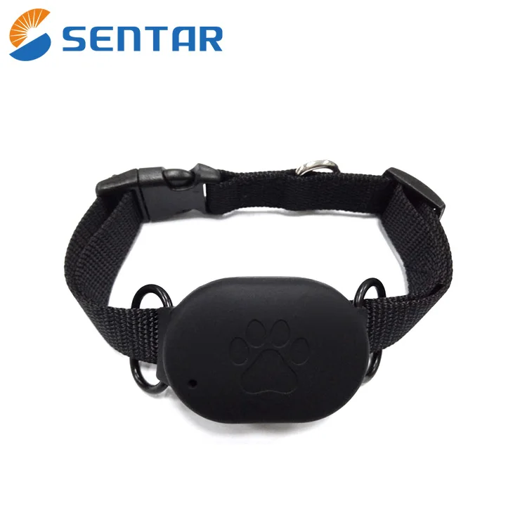 Europe popular pet tracker low price gps tracker with panic button hot sale gps tracker real time positioning wifi lbs