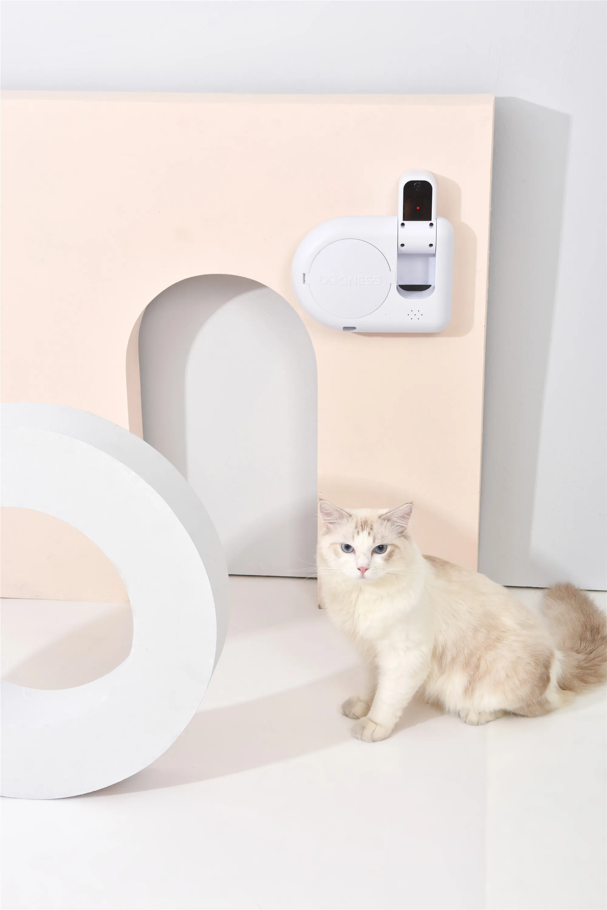  Оптовая продажа Dogness мини робот кошка Лазерная автоматическая обработка пищевого диспенсера приложение дистанционное управление