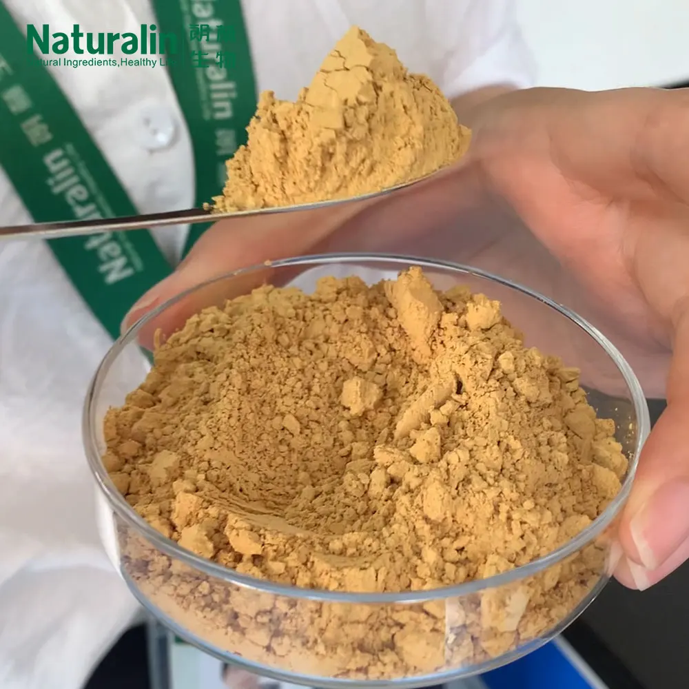 Hot Style Food Supplement Ingredients Silybum Marianum (L.) Gaertn 80% silymarin 30% silybin Milk Thistle Extract