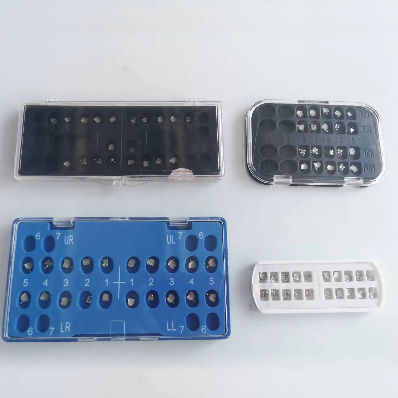 Hot Selling Orthodontic Demonstration Teeth Educational Teeth Model Orthodontic Model Teeth for Dental Course