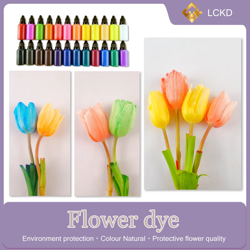 Floral color absorption Give the ordinary flowers a beautiful shell Flower dye