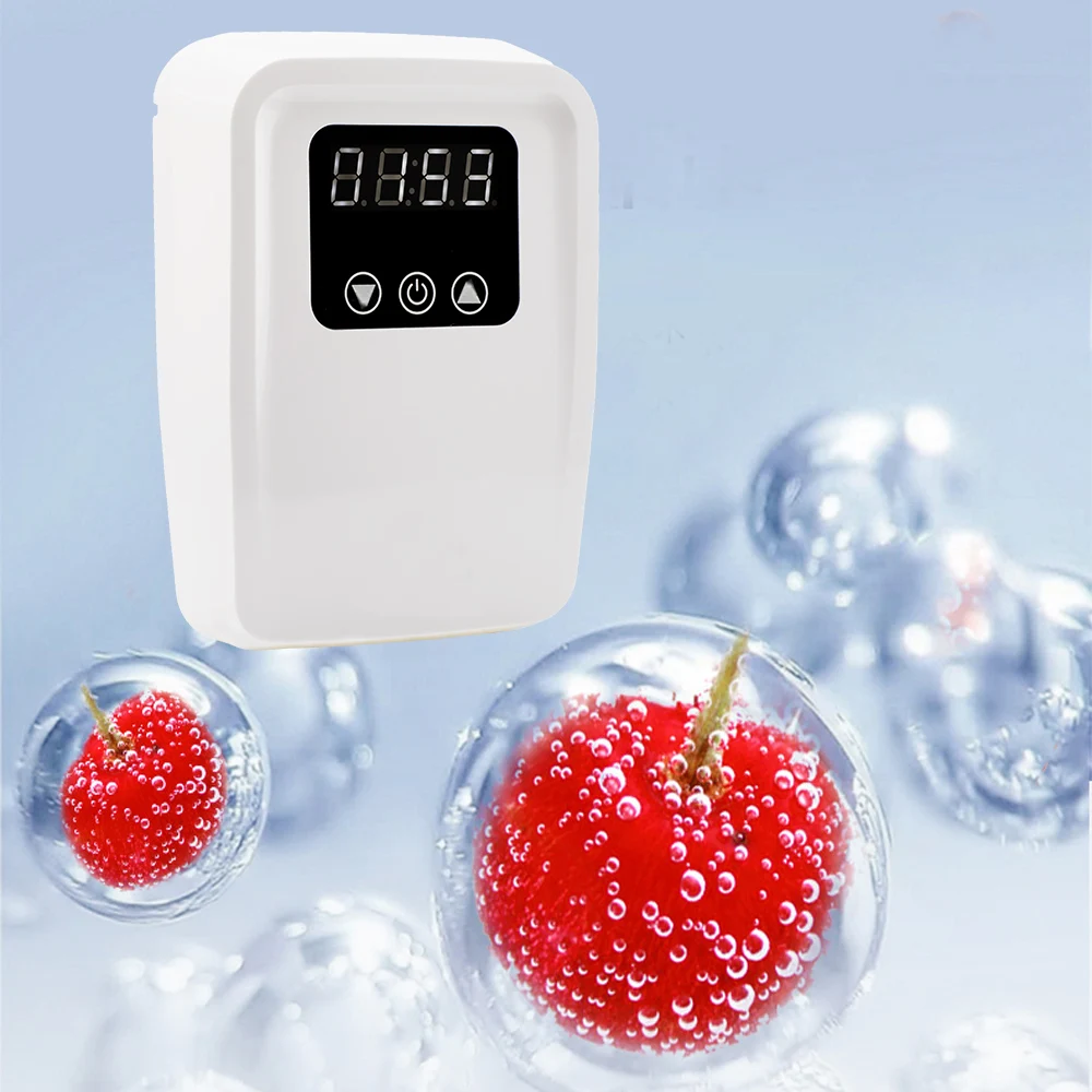 Portable and Wall-mounted Household ozone air treatment water food cleaning ozone purifier