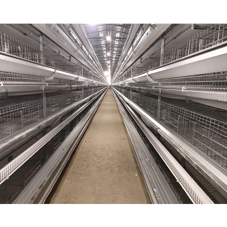 H Type High Quality New Farm Broiler Breeding Fully Automatic Chicken Cages Egg Layer