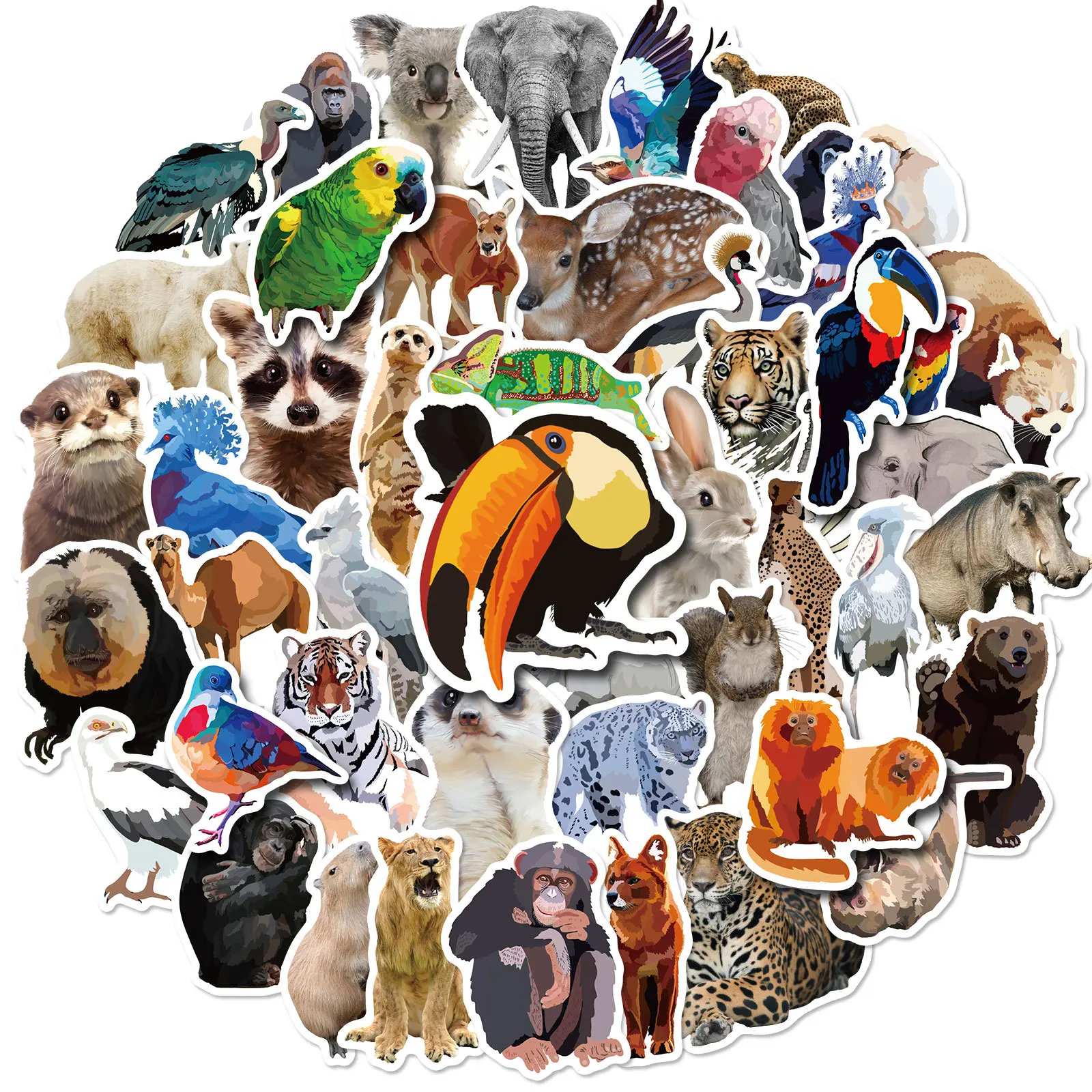50Pcs Bird Stickers Realistic Zoo Animals Cool Graffiti Stickers For Children Refrigerator Water Bottles Stickers