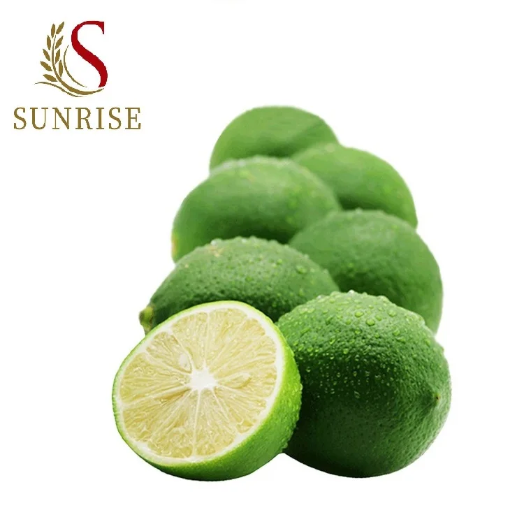 Lime seedless fresh seedless lime fresh green lemon high quality for exporting- Whatsapp 0084 989 322 607