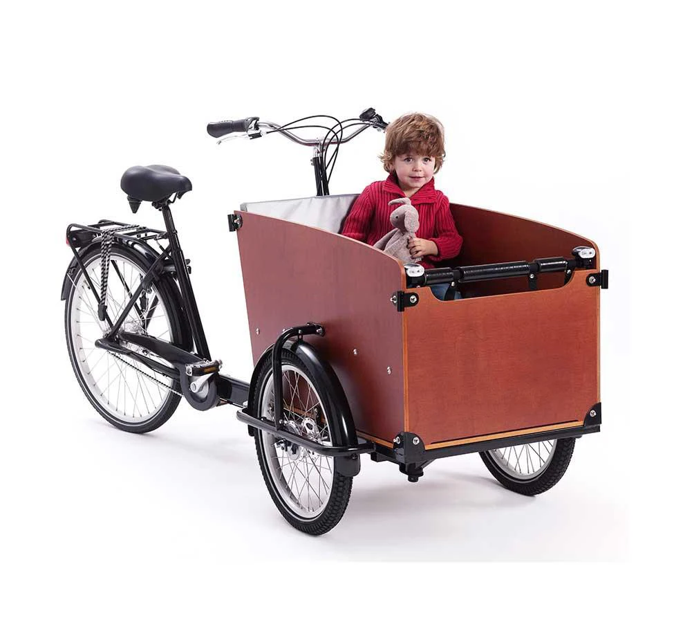 European Quality Aluminum Alloy Tricycle Delivery Bike 3 Wheel  Cargo Bike