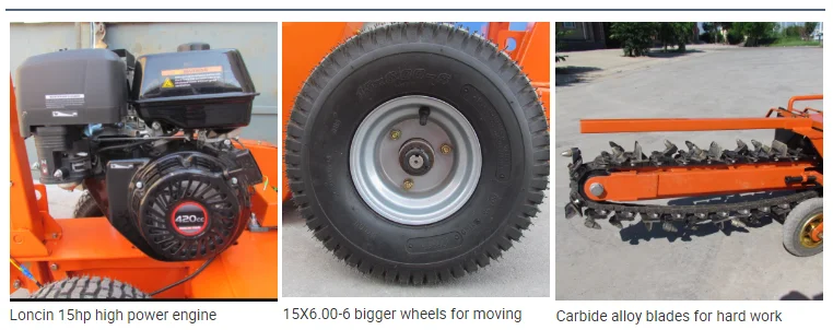 paste-pic-dp_uuid_swe8r