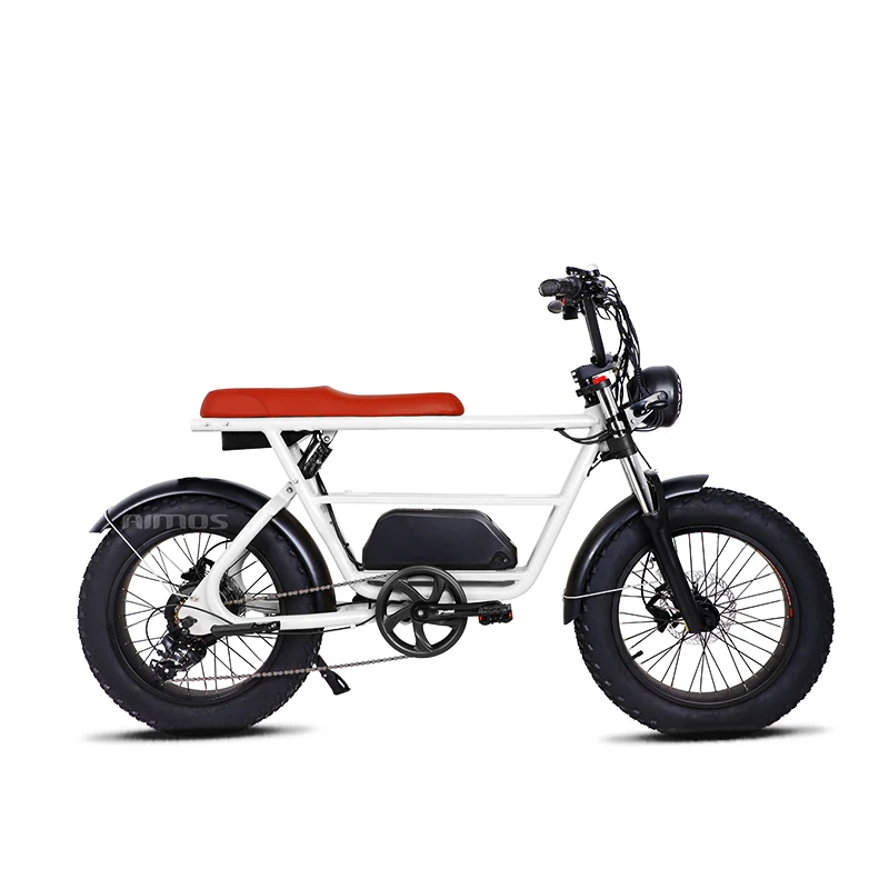 1000W fashion removable battery good quality powerful electric bicycle double seat