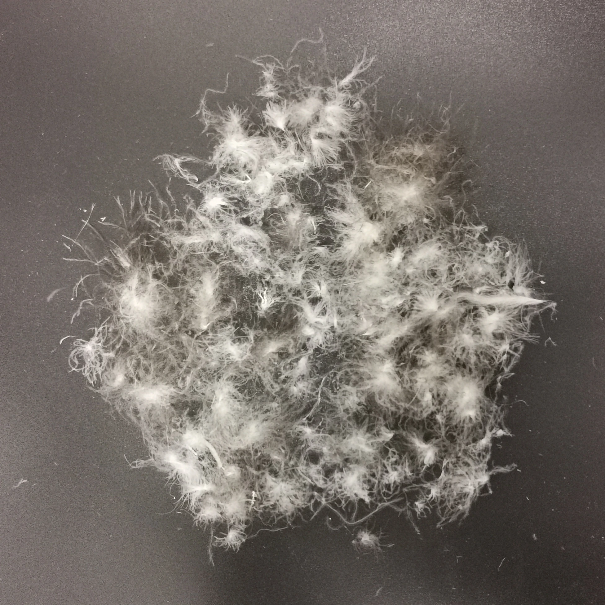 
Top Quality 90/10 Washed Grey Blanket 90% Duck Down For Duvet 