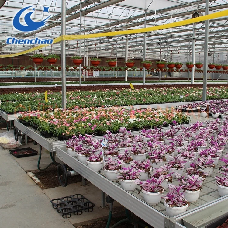 orchid plant nursery 4x8 movable flood rolling bench