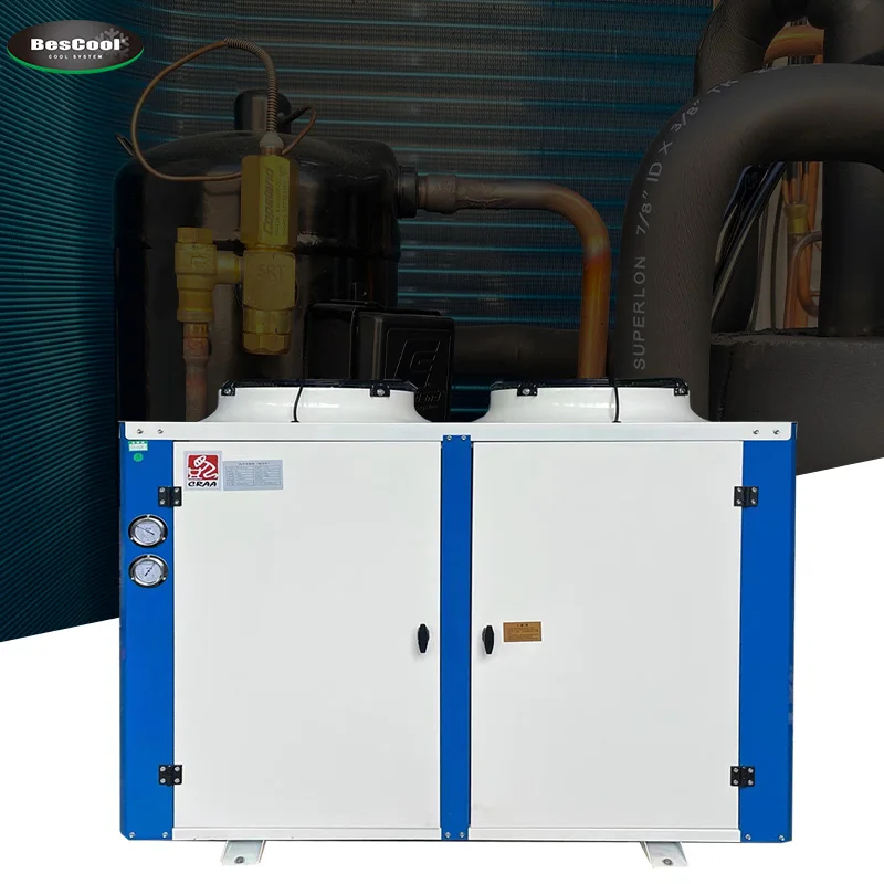 Low Temp Condense Unit For Blast Freezer Seafood  Condensing Unit Prices Factory Customized Refrigeration Unit Equipment