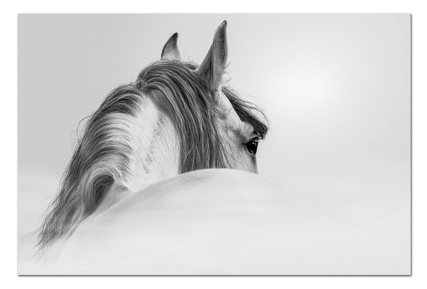 Abstract Horse - Motif Acrylic Art Panel eight horses painting for living room paintings for office paintings