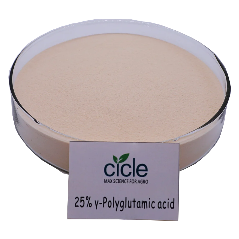 Fertilizer synergist enhance effect POLYGLUTAMIC ACID  PGA agriculture use  apply on rice wheat corn bean vegetable fruits