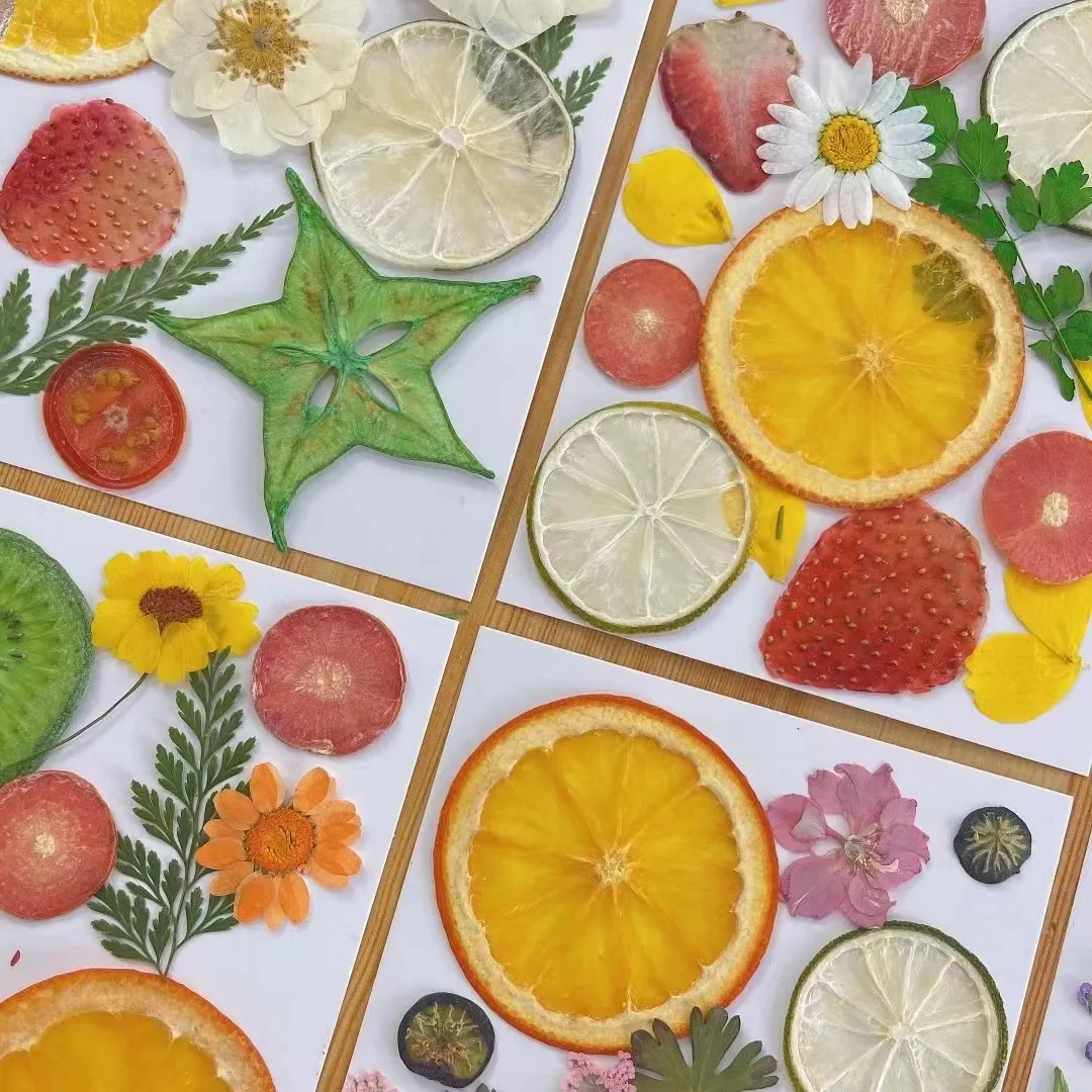 F4 New Design Real Dried Flower Embossed Fresh Fruit Sliced Material Pack Diy Bookmark Drop Glue Dried Flower Phone Case Botanic