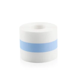 Wholesale invisible Backless Transparent Push Up New Breast Tape Transparent Boob  For Women Dresses Or Clothes