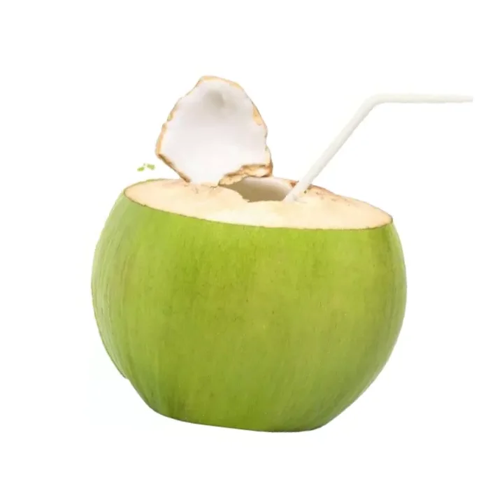 Extra Product Grade of Tropical Fruits of Young Coconuts White Color 100% Organic Sweet Taste Thailand Export Large Market