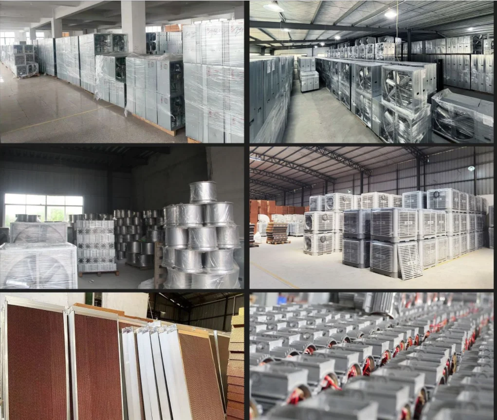 Industrial 50 inch Exhaust Fan Poultry Farm Ventilation Cooling Fan