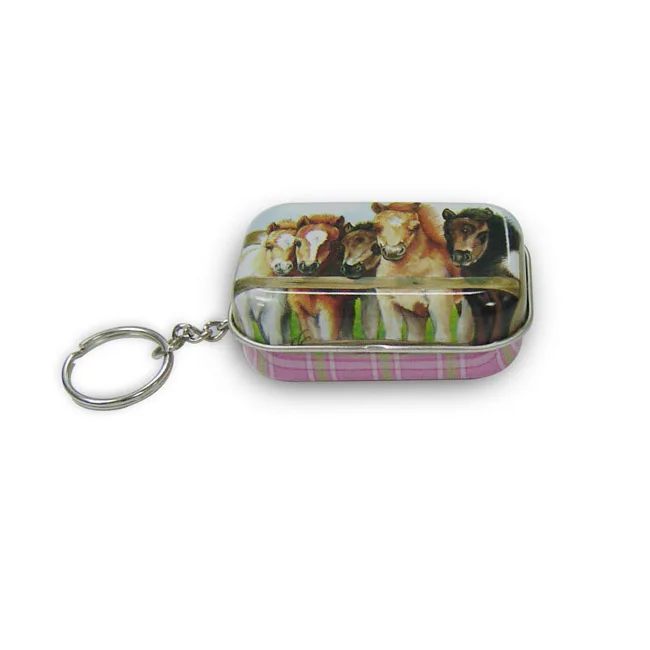 Hot Sale Metal Box  Small Tin Box Food Packaging For Mints Candy