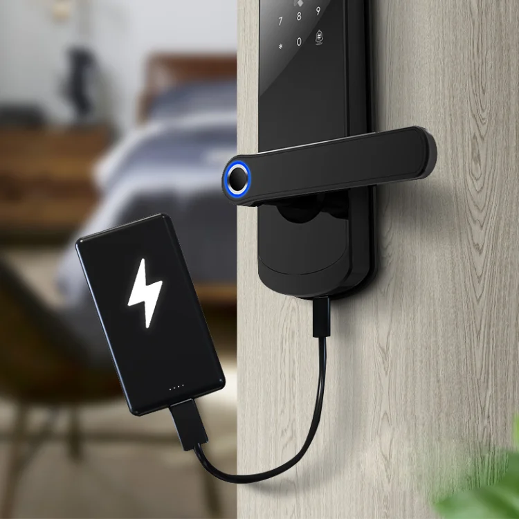 Alarm Biometric Key Card Password Electric Mortise Combination Safety Cerraduras Para Puertas Door Handle Lock Smart Locks