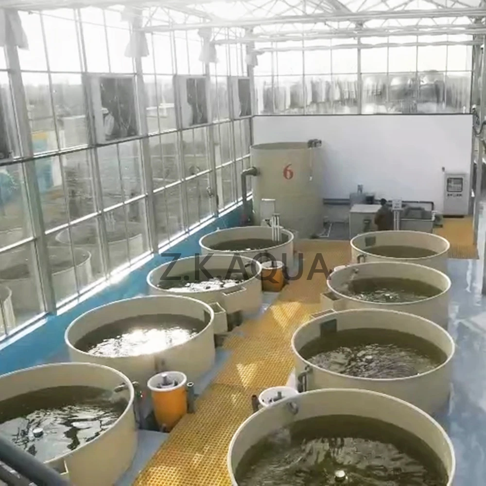 indoor ras system  pisciculture other aquaculture equipment  fish farming aquaculture system for sale
