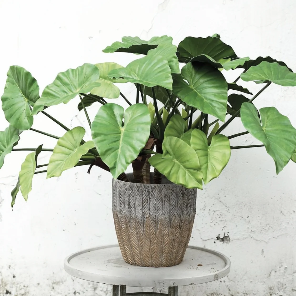 Новый дизайн, Современное украшение для дома и сада, искусственные суккуленты, горшок для растений