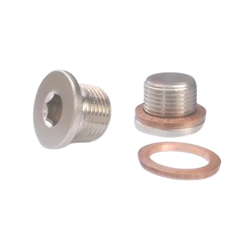 HASCO Brass 1/4 BSP Plug Socket Screw Cooling Plugs