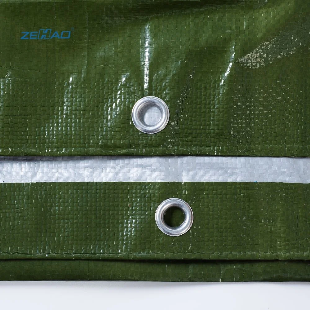 10x20 PE tarpaulin cover patio canopy greenhouse tarp