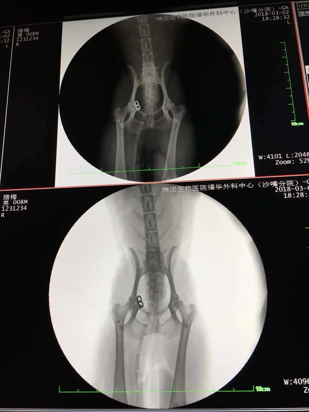 Хорошая цена ветеринарный X-Ray блок рентгеноскопии Рукоятки c радиологическое машины