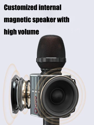 
Professional Mini Wireless Studio Recording Machine Ktv system BT Speaker Karaoke Microphones 