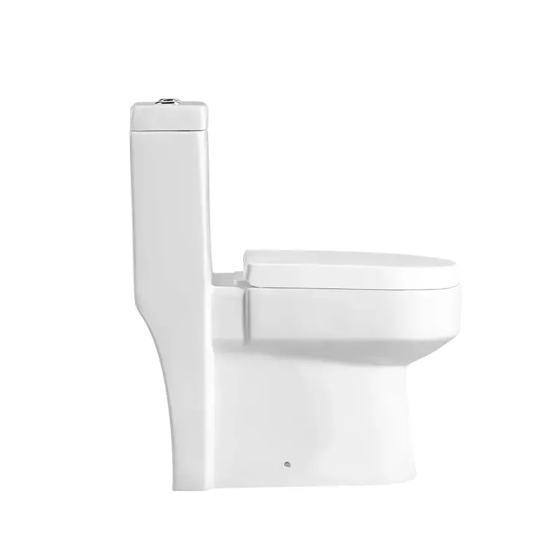 Hot sale modern style cheap bathroom siphonic flush white color one piece closet toilet bowl