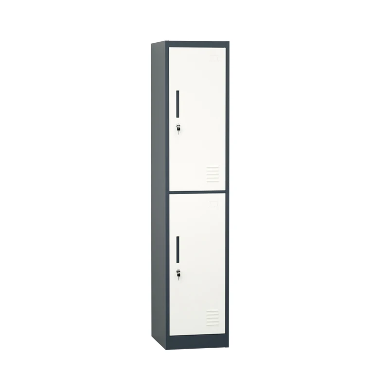 Gym Steel Locker Metal Locker Single-2 Door Wardrobe Staff Locker For School Office Use