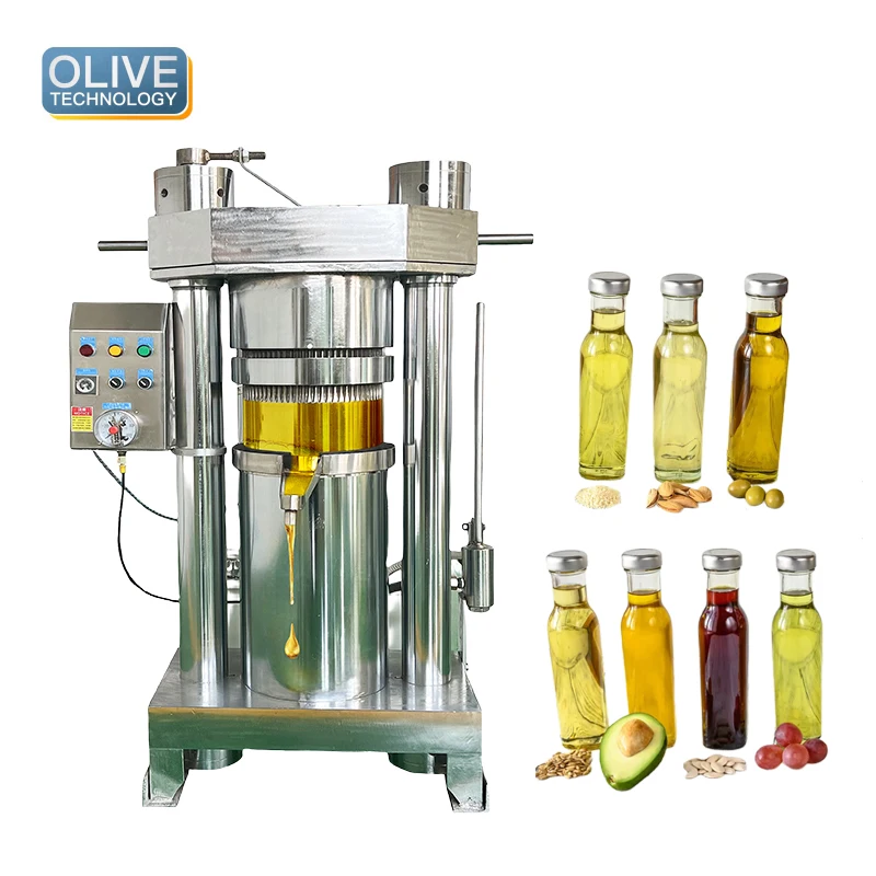 Oil Press for Sale in Morocco Hemp Seed Oil Press Machine Cold Press Oil Extraction Machine