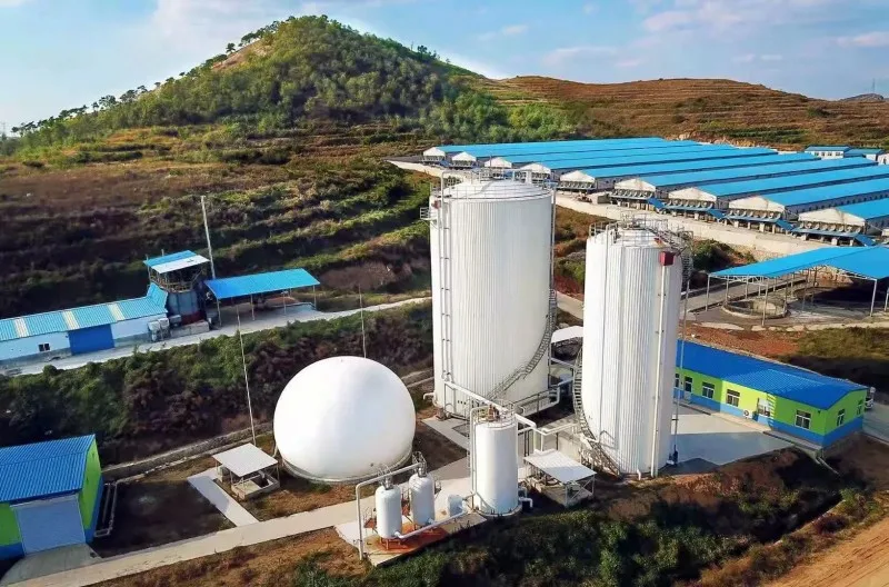 Комплект оборудования для проекта биогаза Qingdao Haiyue, небольшой компрессор биогаза с хранением и использованием ферментации