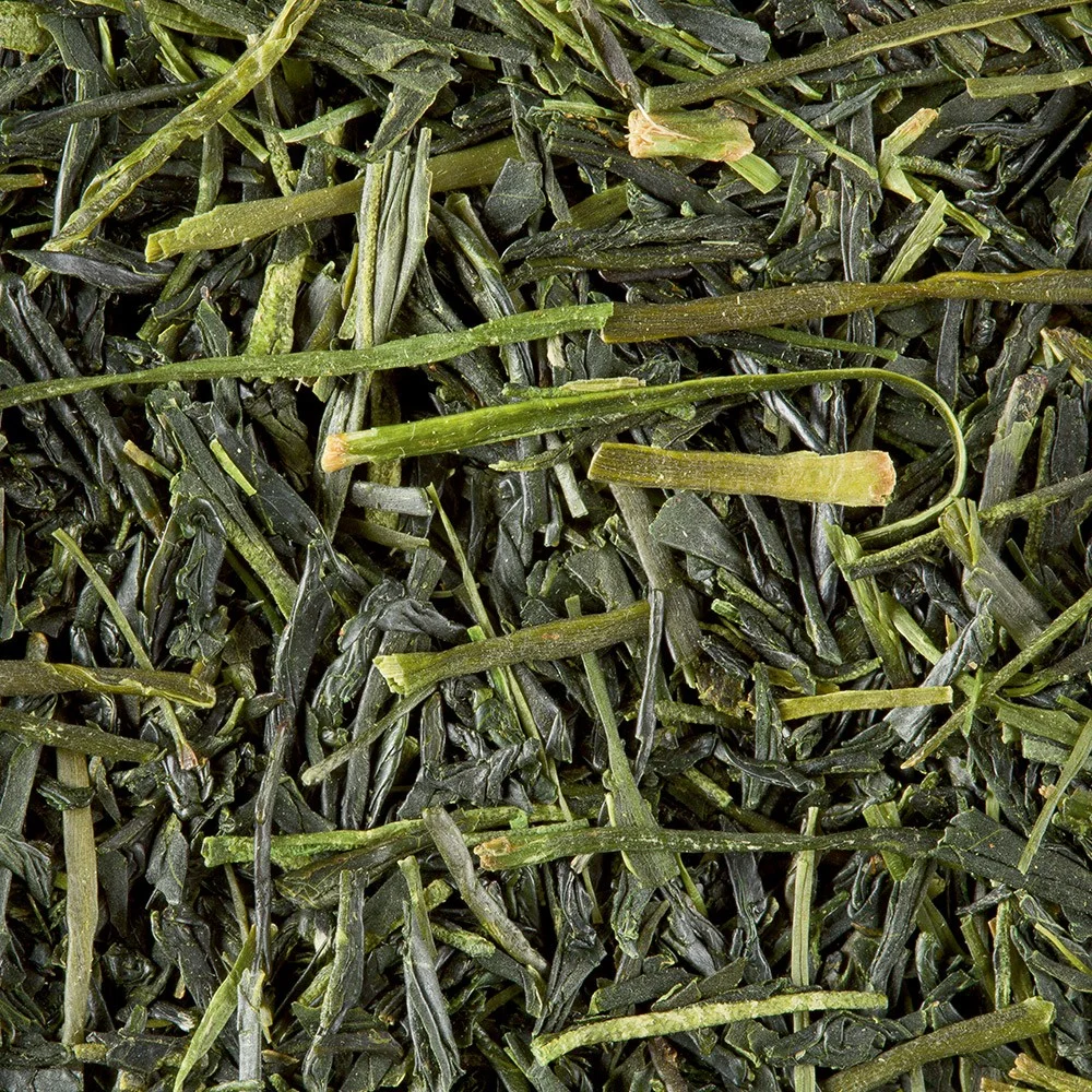 Wholesale Organic Sencha EU Standard Premium China Factory Green Tea Sencha China Green Tea