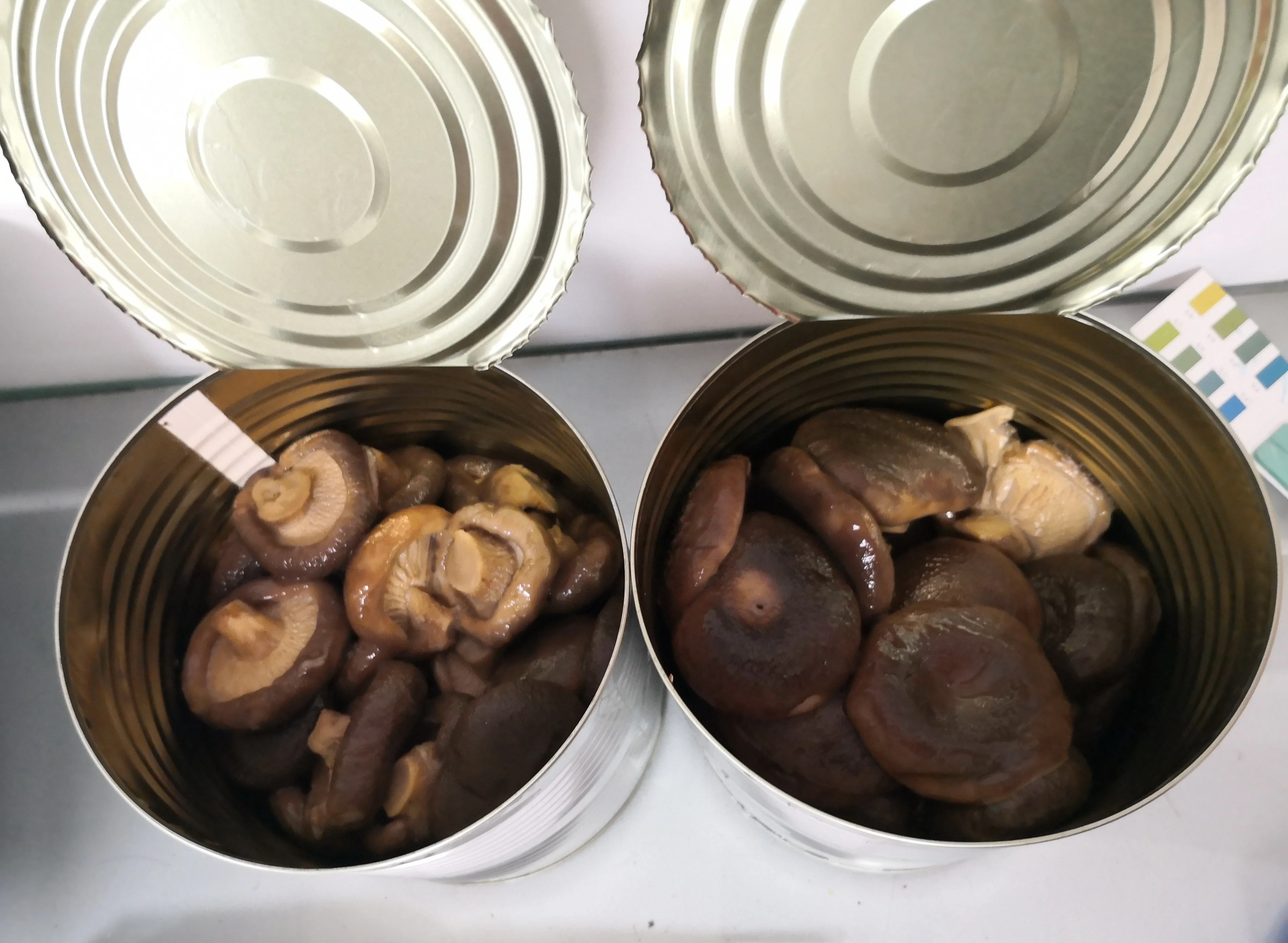 Canned Shiitake