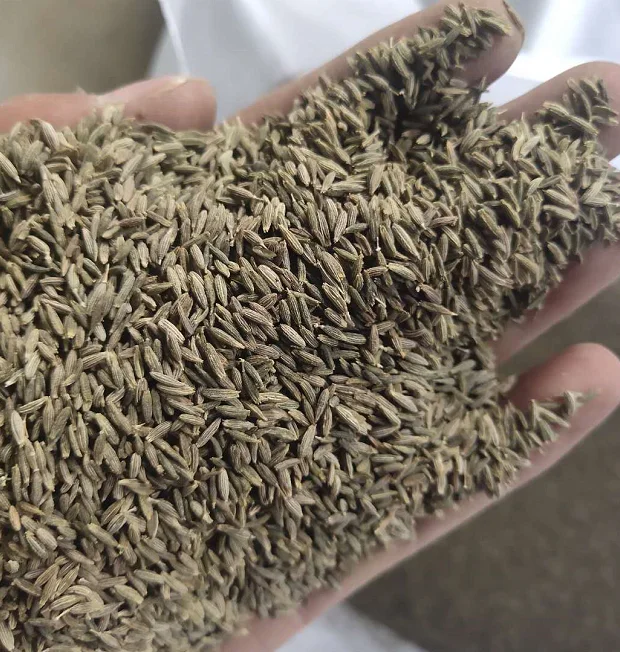 high quality cumin seeds from china