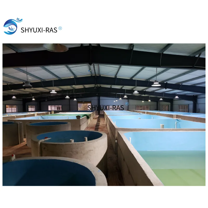 Оборудование для рыбоводства для помещений ras, для продажи, большая промышленная рециркуляция рыбы, Ферма для аквакультуры, система ras