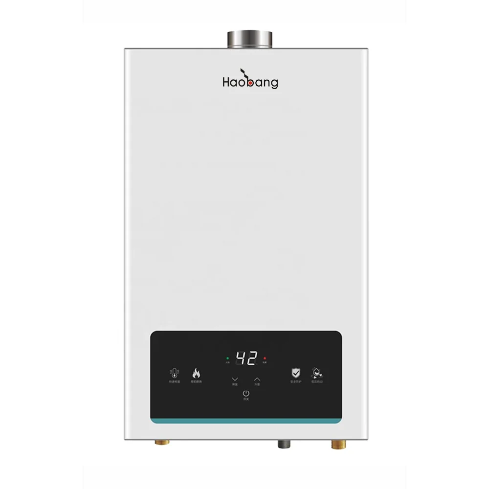 Low Price New Design 12L Constant Temperature Gas Water Heater For House