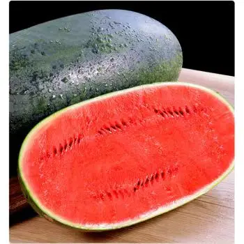 Export Chinese farm fresh watermelon High Quality Imported Vietnamese Black Beauty Watermelon Ready to Ship Fresh Watermelon