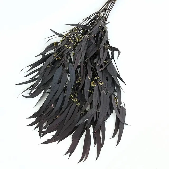 Factory supply Wholesale preserved eucalyptus seeded willow eucalyptus real touch dried eucalyptus