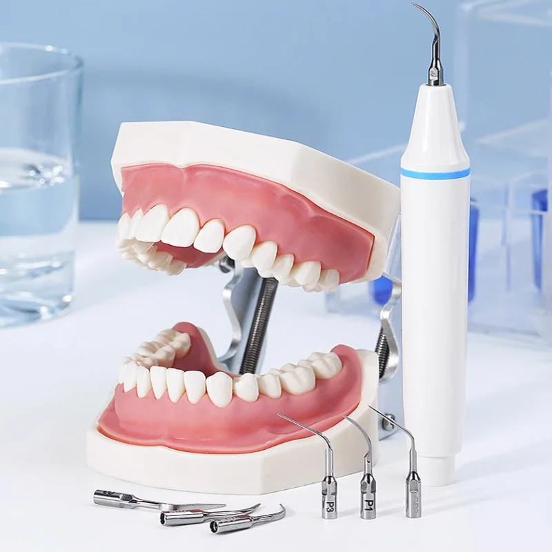 Fit DTE Woodpecker SATELEC EMS Handpiece Scaling G1 G2 G3 G4 P1 P3 GD3 GD4 PD1 Dental Ultrasonic Scaler Tip