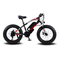 350w36V fat ebike 20 дюймов Высокоуглеродистая сталь для взрослых shimano 13AH горный электрический