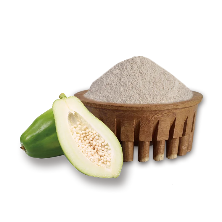 Samoa Organic Natural Papaya Extract Powder 450g Extract Powder