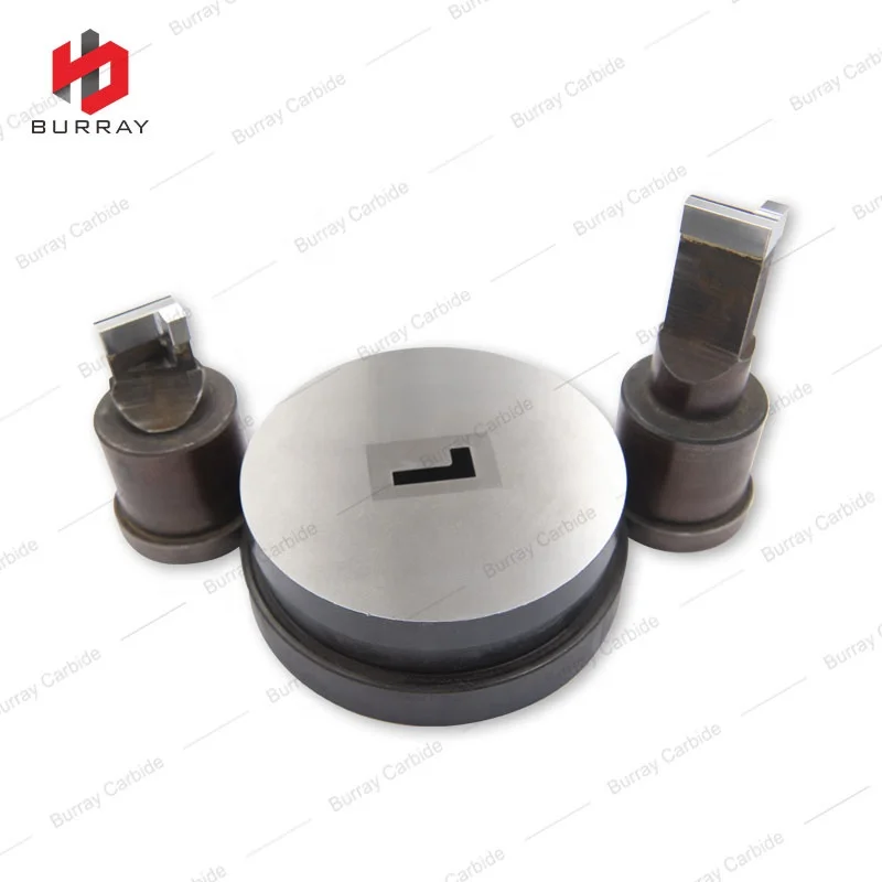 TL21500 Special Shaped Punches and Die, Customized Mould