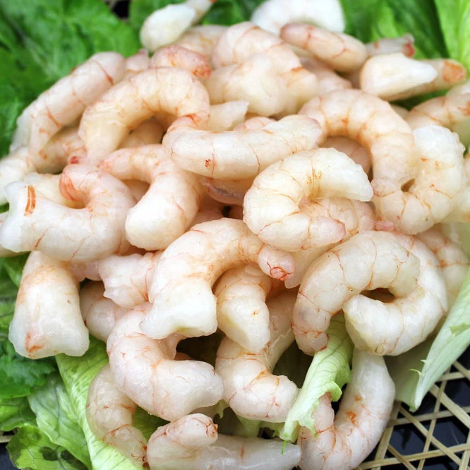 Fresh seafood  Frozen Whole  shrimp /raw  shrimp
