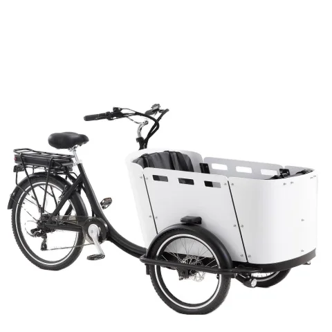 Electric Cargo Bike Ce Best Price 3 Wheel Pedal Motorcycle Tricycle for Cargo Bike With Kid/Cargo Delivery Tricycle