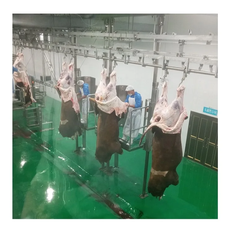 Turnkey HALAL Cattle Abattoir Line Slaughtering Machine For Cow Farm