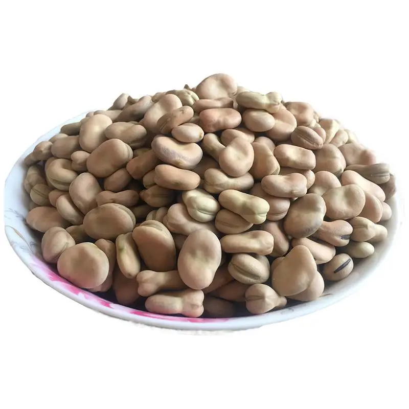 2021 new crop  dry brown broad beans